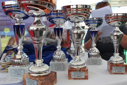 plivanje, plivacki maraton, plivacki maraton biograd 2013, maraton