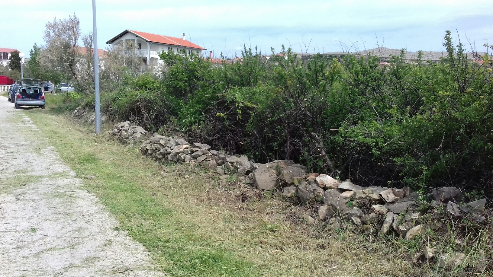 Akcije čišćenja i uređenja Vlašića na otoku Pagu