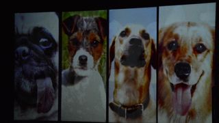 Predstava “Njuške” u HNK Zadar, foto: Iva Perinčić Predstava “Njuške” u HNK Zadar, foto: Iva Perinčić