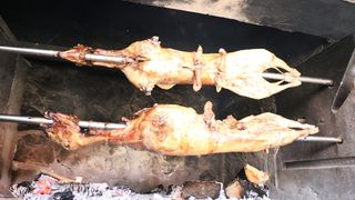 Vir: Memorijalni udičarski kup “Tonči Spavalica”