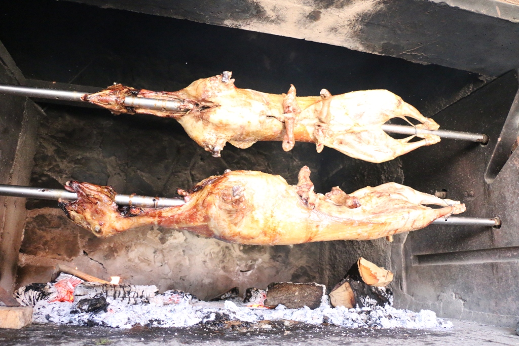 Vir: Memorijalni udičarski kup “Tonči Spavalica”