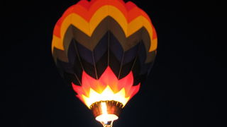 Crna ovca u Baški na otoku Krku Crna ovca u Baški na otoku Krku