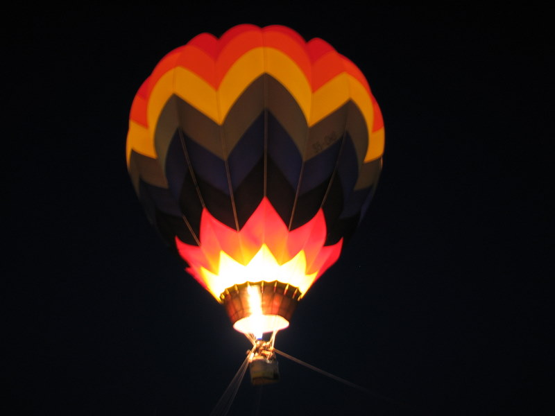 Crna ovca u Baški na otoku Krku Crna ovca u Baški na otoku Krku