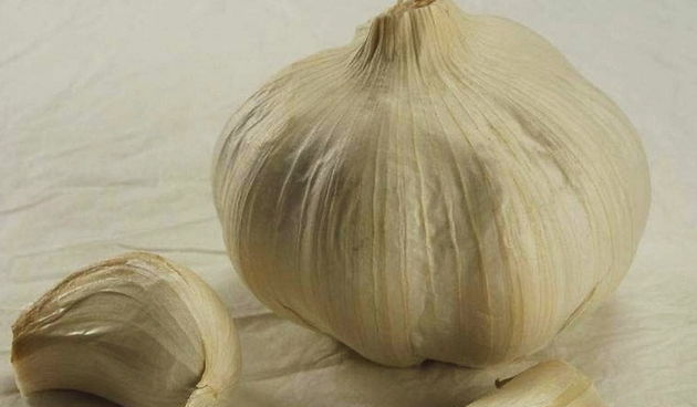 Bijeli luk – cesnjak, Foto: coolinarika.com