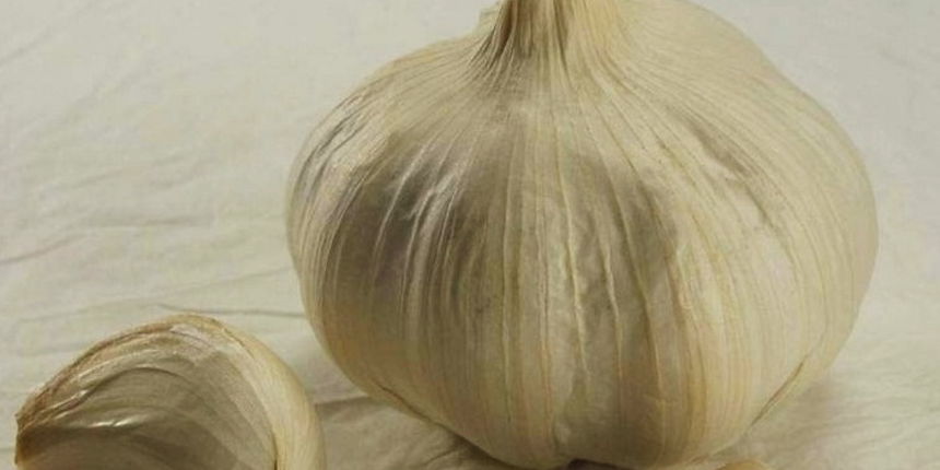 Bijeli luk – cesnjak, Foto: coolinarika.com