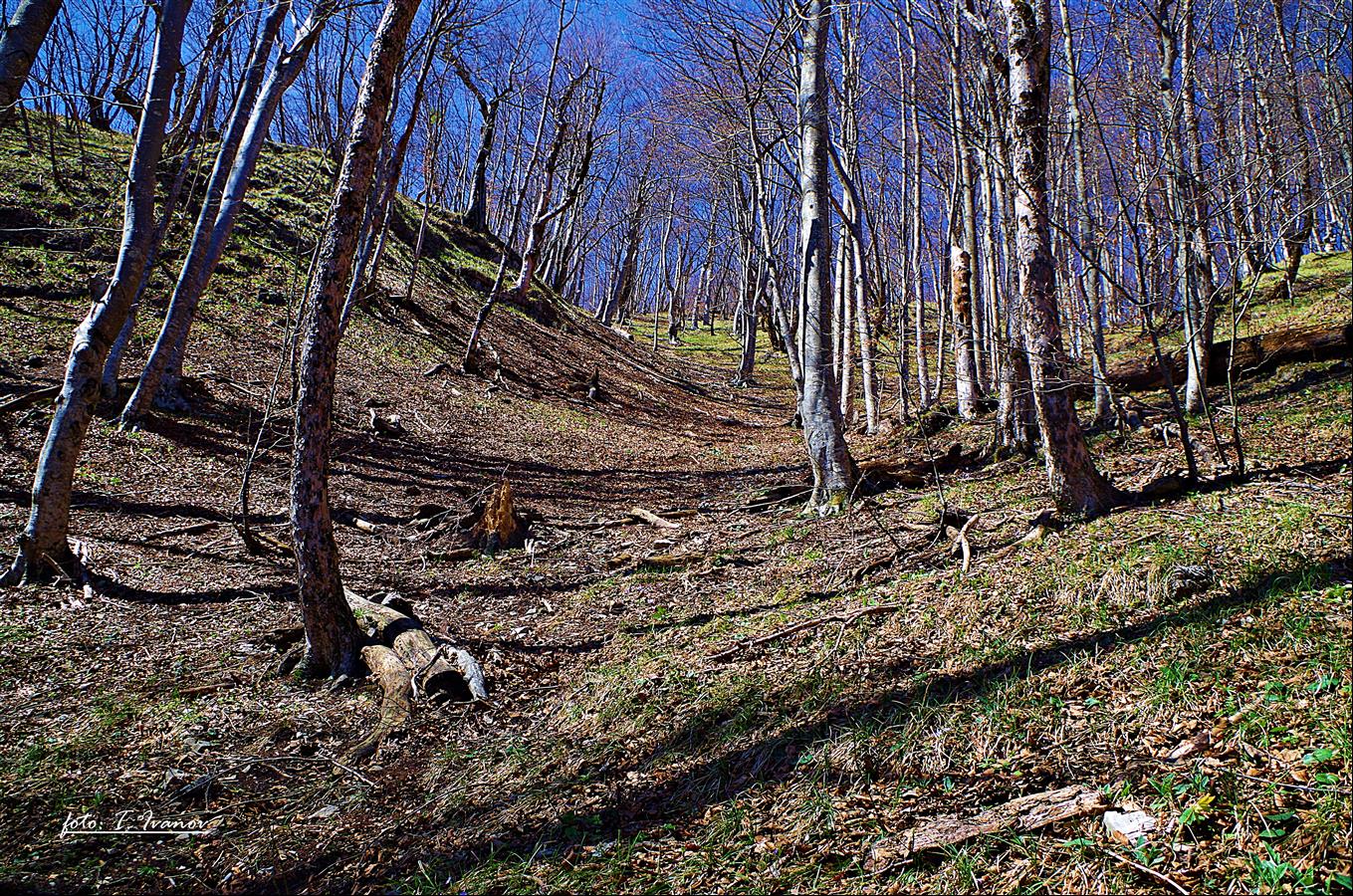 69. rođendan NP Plitvička Jezera 69. rođendan NP Plitvička Jezera
