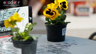 Đir po gradu, subotnja špica 9. ožujka 2019. Đir po gradu, subotnja špica 9. ožujka 2019.