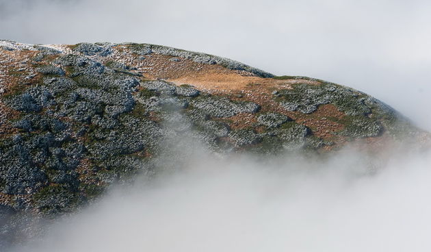 Paklenica, Juzni Velebit, Zadar, 171112
Izlet u NP Paklenica, dio juznog Velebita u trokutu Veliko rujno – skloniste na Strugama – Vaganski vrh.
Na fotografiji: detalj s izleta; pogled s Vaganskog vrha 
Foto: Luka Gerlanc / CROPIX