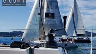 Zadarska koka 2017. Zadarska koka 2017.