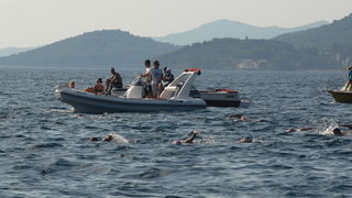 42. plivački maraton Preko – Zadar, Foto: PK Zadar