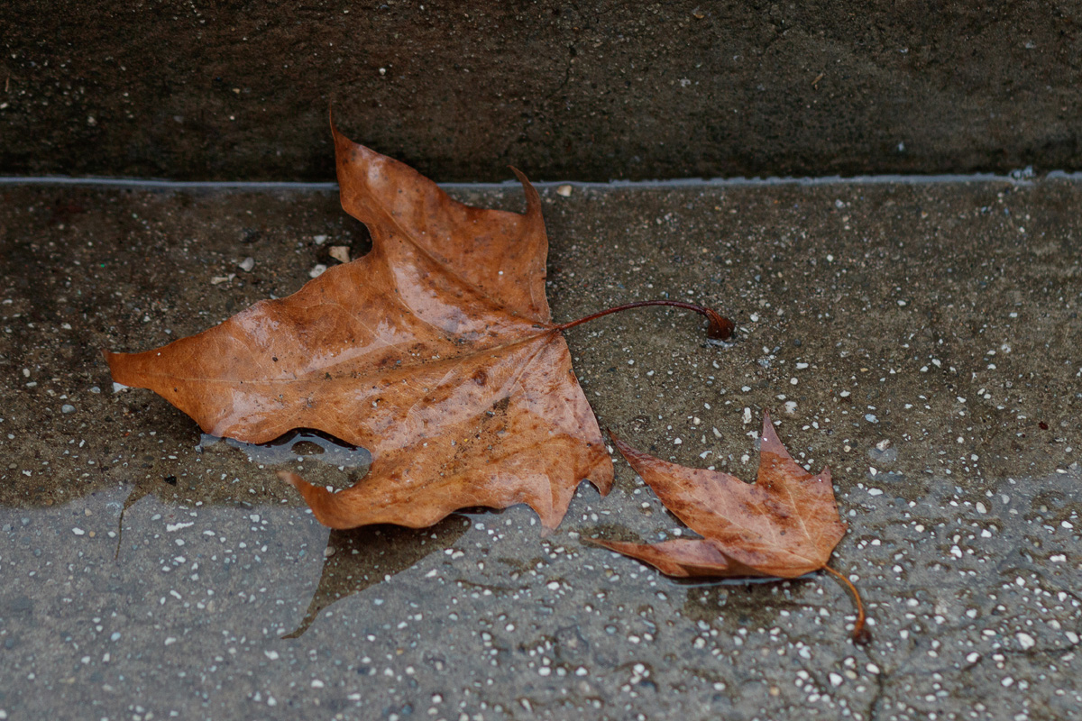 Đir po gradu, 4. studenog 2022. Đir po gradu, 4. studenog 2022.