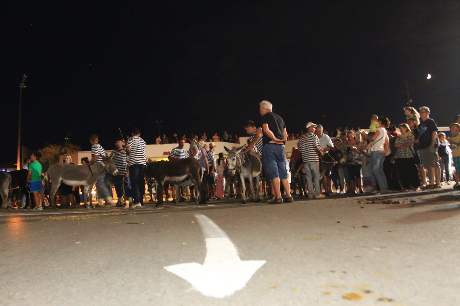 Trka Tovarov – 48. Memorijal Kenje Vijole Sukošan  Photo: Leo Banić