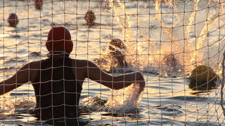 Biograd n/M: Medjunarodni vatepolo turnir