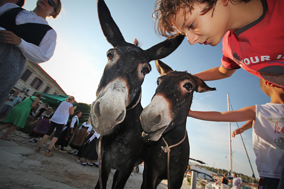 52. Saljske užance, 7. kolovoza 2011.(foto:Saša Čuka)