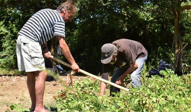 Zadarski beskucnici angazirani su na sadnji krumpira koji cini dio ponude pucke kuhinje u kojoj se i sami hrane. Photo: Dino Stanin/PIXSELL