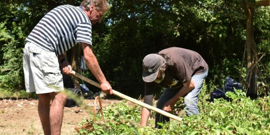 Zadarski beskucnici angazirani su na sadnji krumpira koji cini dio ponude pucke kuhinje u kojoj se i sami hrane. Photo: Dino Stanin/PIXSELL Zadarski beskucnici angazirani su na sadnji krumpira koji cini dio ponude pucke kuhinje u kojoj se i sami hrane. Photo: Dino Stanin/PIXSELL