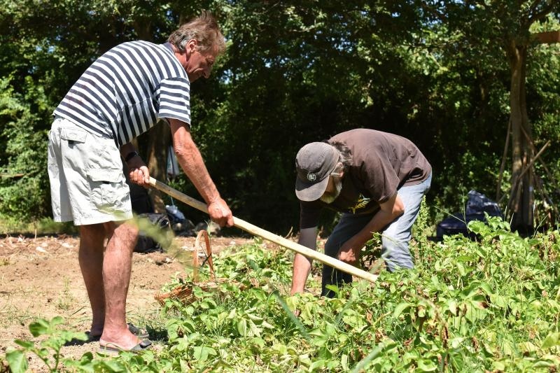 Zadarski beskucnici angazirani su na sadnji krumpira koji cini dio ponude pucke kuhinje u kojoj se i sami hrane. Photo: Dino Stanin/PIXSELL Zadarski beskucnici angazirani su na sadnji krumpira koji cini dio ponude pucke kuhinje u kojoj se i sami hrane. Photo: Dino Stanin/PIXSELL