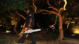 Zadar, 190810.
Veceras se u blizini zadarskih turistickih atrakcija morskih orgulja i pozdrava suncu iznenada srusilo stablo, na svu srecu nitko nije teze ozljedjen.
Foto : Andrija Lucic / cropix