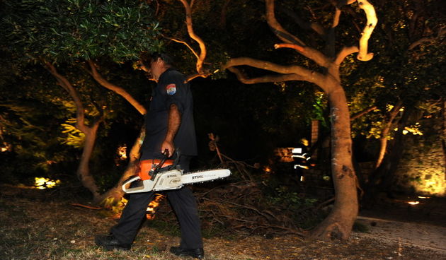 Zadar, 190810.
Veceras se u blizini zadarskih turistickih atrakcija morskih orgulja i pozdrava suncu iznenada srusilo stablo, na svu srecu nitko nije teze ozljedjen.
Foto : Andrija Lucic / cropix
