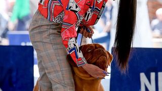 Međunarodna izložba pasa CACIB 2023