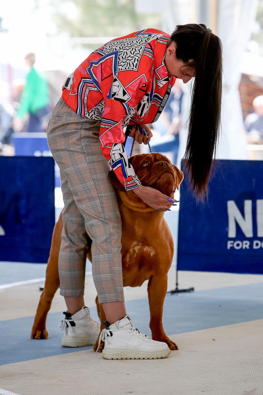 Međunarodna izložba pasa CACIB 2023