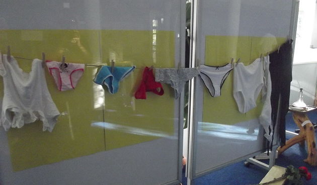 Otvorenje izložbe Klaudije Milin – ”Ružica sam bila, ružica više neću biti”