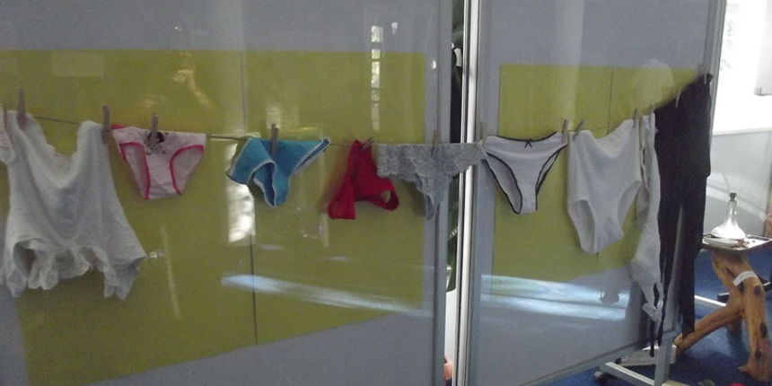 Otvorenje izložbe Klaudije Milin – ”Ružica sam bila, ružica više neću biti”