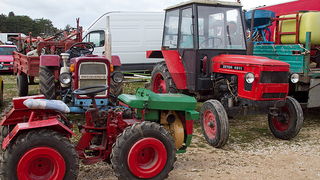 Benkovački sajam 10. travnja 2013, Foto: Leo Banić