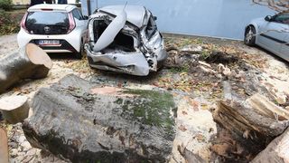 Zadar: Jak vjetar srušio stablo na parkirane automobile