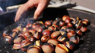 Kestenjari su započeli s ovogodisnjom sezonom prodaje pecenih kestena. Photo: Tomislav Miletic/PIXSELL