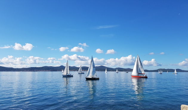 Zadarska Koka 2016. 22. listopada 2016. Foto: Mladen Malik