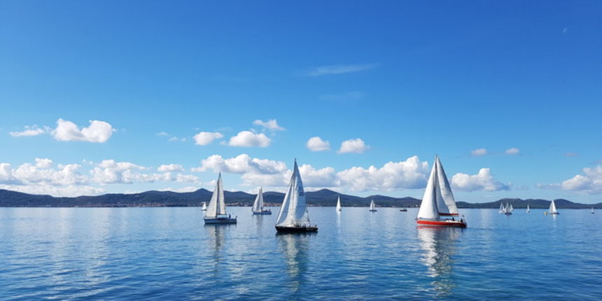 Zadarska Koka 2016. 22. listopada 2016. Foto: Mladen Malik Zadarska Koka 2016. 22. listopada 2016. Foto: Mladen Malik