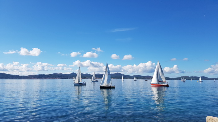 Zadarska Koka 2016. 22. listopada 2016. Foto: Mladen Malik Zadarska Koka 2016. 22. listopada 2016. Foto: Mladen Malik