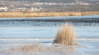 Šetnja po zaleđenom i bajkovitim Vranskim jezerom Šetnja po zaleđenom i bajkovitim Vranskim jezerom