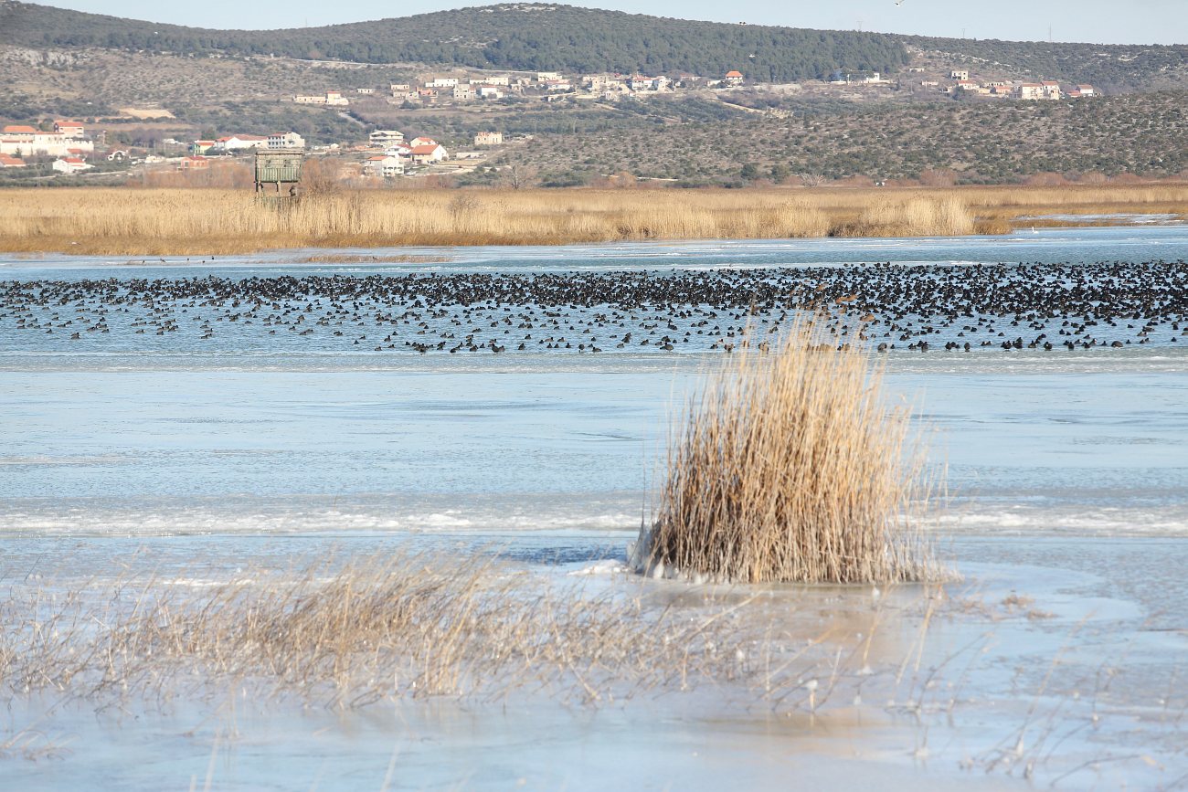 Šetnja po zaleđenom i bajkovitim Vranskim jezerom Šetnja po zaleđenom i bajkovitim Vranskim jezerom