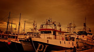 Zadarsko svitanje, Foto: Tihomir Franov