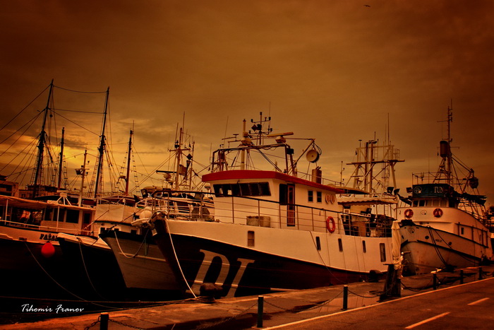 Zadarsko svitanje, Foto: Tihomir Franov