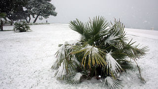 Snijeg u Zadru, 17. prosinca 2009, Foto: Saša Čuka