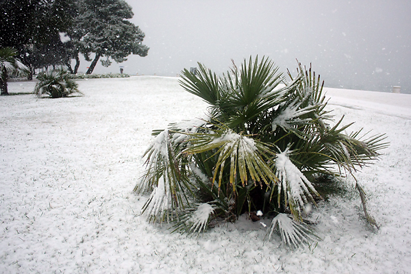 Snijeg u Zadru, 17. prosinca 2009, Foto: Saša Čuka