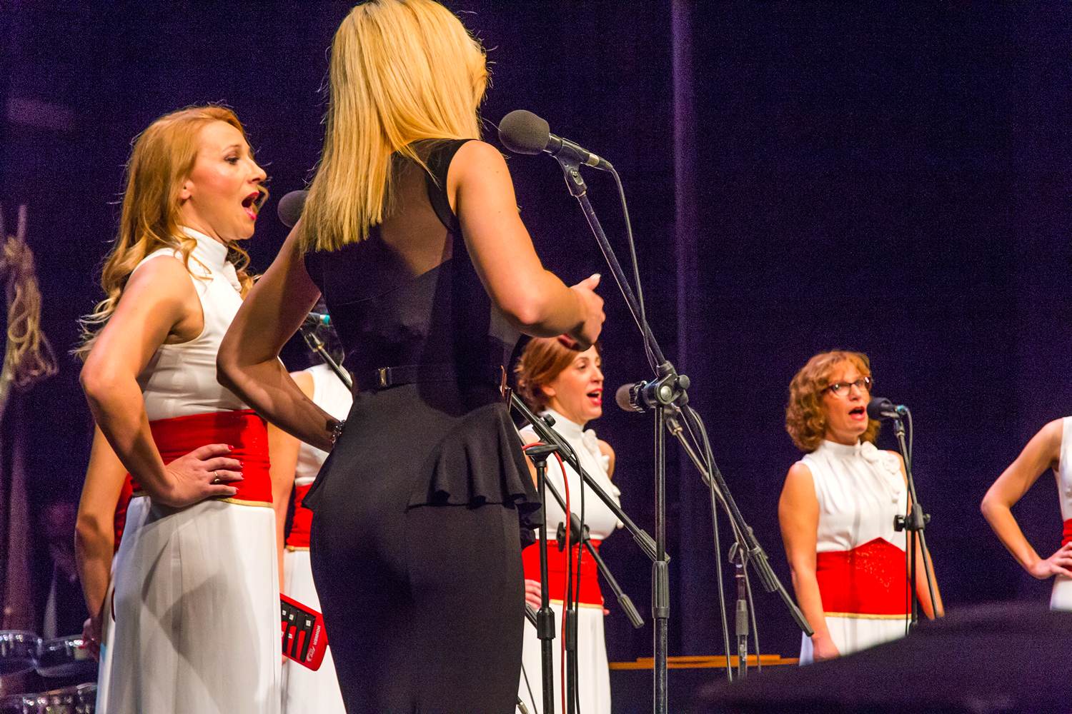 Klapa “Libar” je 30. listopada obilježila 10-tu obljetnicu, Foto: Mladen Radolović Mrlja