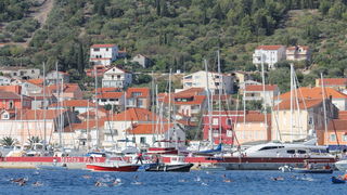 40. Plivački maraton Preko-Zadar, Foto: Edin Kadić 40. Plivački maraton Preko-Zadar, Foto: Edin Kadić