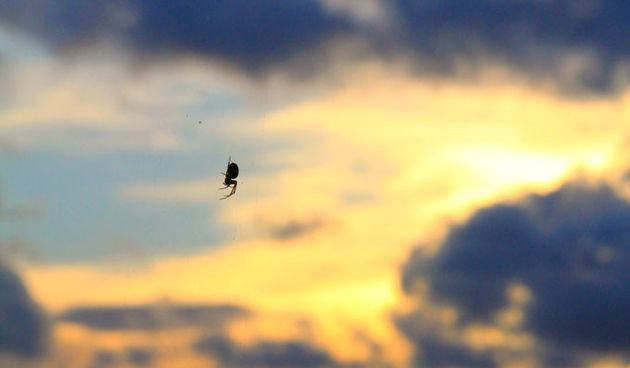 Zlatni zalaz sunca nakon ciklone Vedran, foto: Iva Perinčić