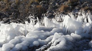 Šetnja po zaleđenom i bajkovitim Vranskim jezerom Šetnja po zaleđenom i bajkovitim Vranskim jezerom