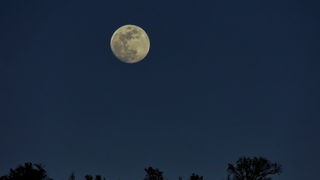 Nedjeljni izlet u Nacionalni park Krka Nedjeljni izlet u Nacionalni park Krka