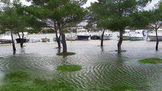 Plima u uvali Bregdetti, foto: T. Ivanov