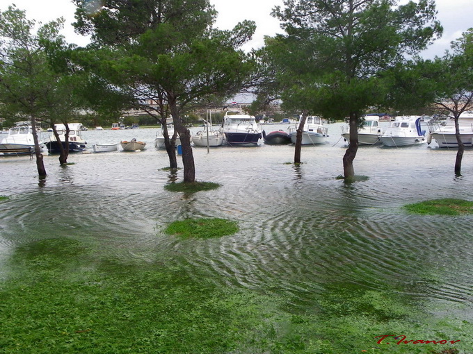 Plima u uvali Bregdetti, foto: T. Ivanov