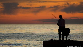 Diklo: umjetnicke fotografije   foto: Angelo Virag