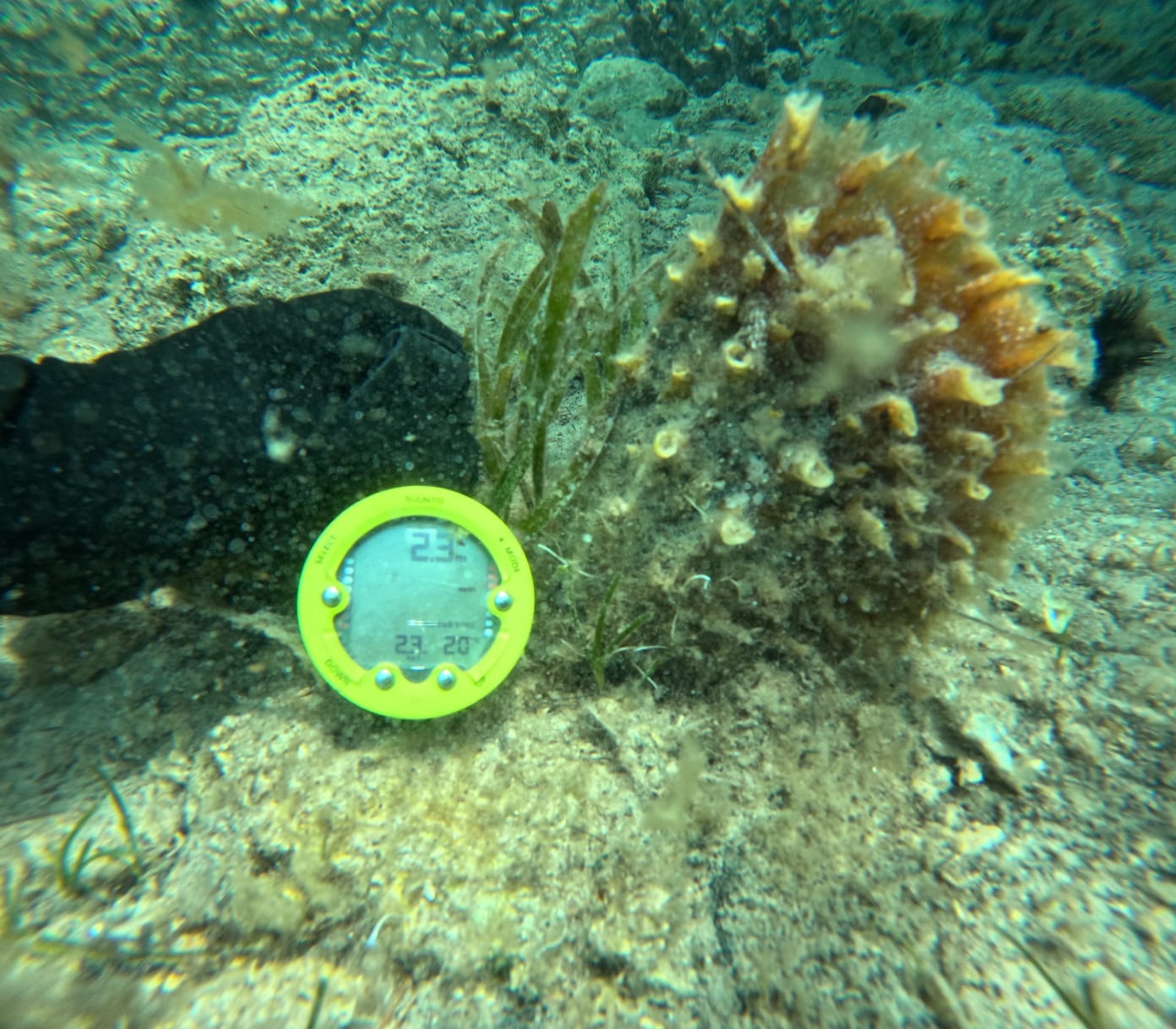 Image 6027737 (auto)