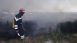 Požar na Plovaniji 11. kolovoza 2013. Foto: Željko Mršić/PIXSELL Požar na Plovaniji 11. kolovoza 2013. Foto: Željko Mršić/PIXSELL