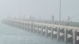 Prvo magla, pa sunce: Posljednji dan listopada u Zadru